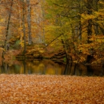 Düzce ilçeleri 2 Düzce ilçeleri