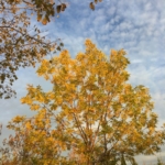 İzmir Tarihi Yerler