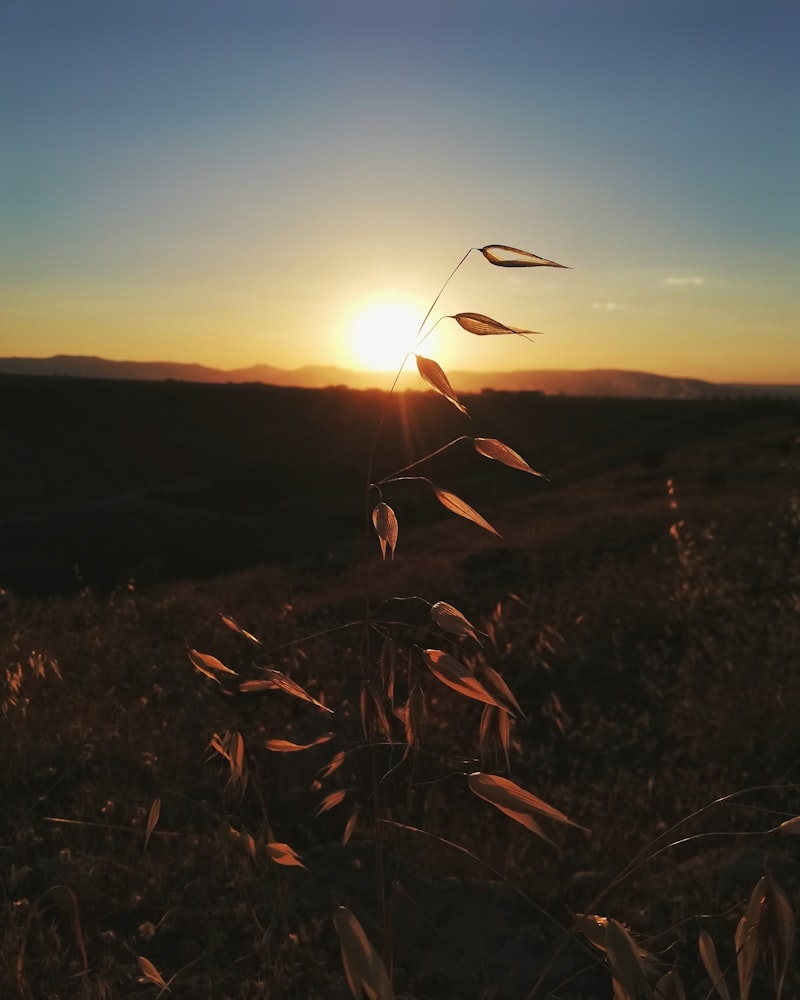 Malatya Tarihi Yerler